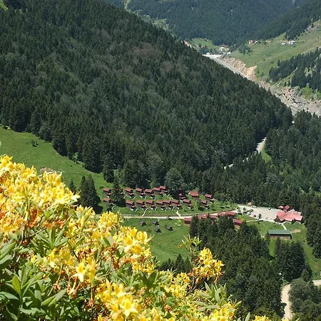 Zitas Zigana Yayla Tatil Koyu Resort