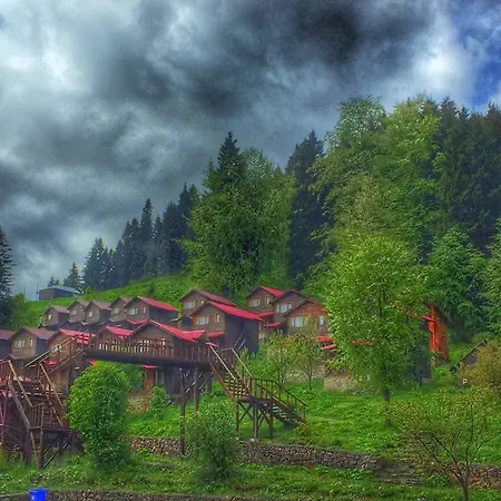 Zitas Zigana Yayla Tatil Koyu 3*