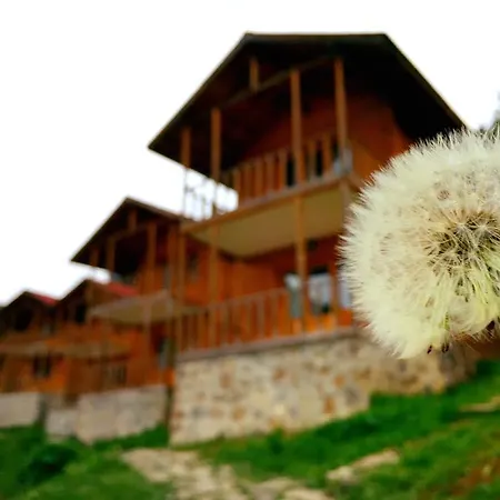 Zitas Zigana Yayla Tatil Koyu 3*