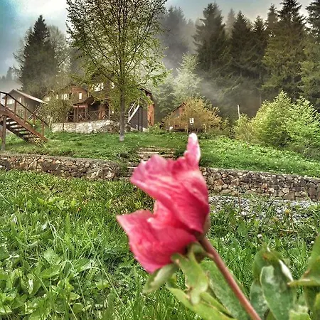Resort Zitas Zigana Yayla Tatil Koyu